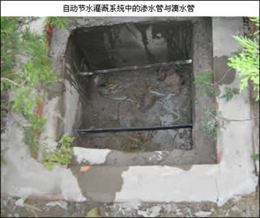 滲水管與滴水管