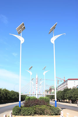 巨力新能源一期項目竣工(組圖)